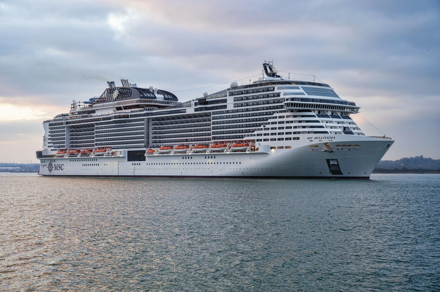 msc bellissima