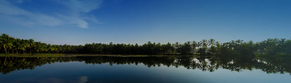 Backwaters Of Alappuzha Credi Kerala Tourism