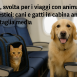 Cani e gatti in aereo: dal 12 maggio in cabina senza limiti di taglia e peso
