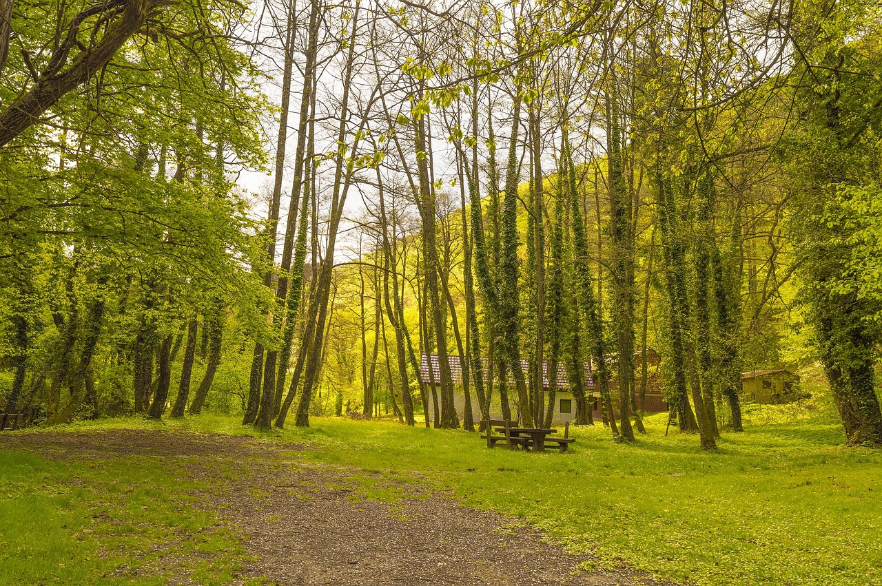 slavonia - foto da pixabay